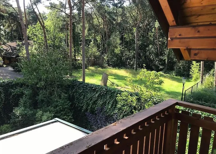 Houten Chalet/bungalow In Het Bos, Sauna, Jacuzzi *