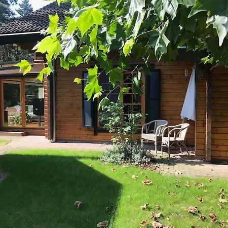Houten Chalet/bungalow In Het Bos, Sauna, Jacuzzi * Meijel