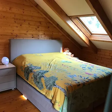 Houten Chalet/bungalow In Het Bos, Sauna, Jacuzzi *