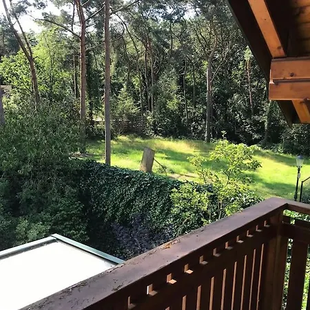 Houten Chalet/bungalow In Het Bos, Sauna, Jacuzzi *