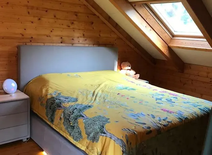 Houten Chalet/bungalow In Het Bos, Sauna, Jacuzzi *