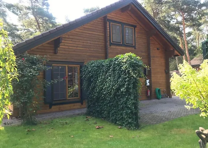 Houten Chalet/bungalow In Het Bos, Sauna, Jacuzzi